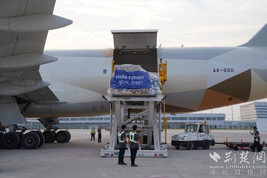 機(jī)務(wù)人員卸下貨物。金康 攝.jpeg